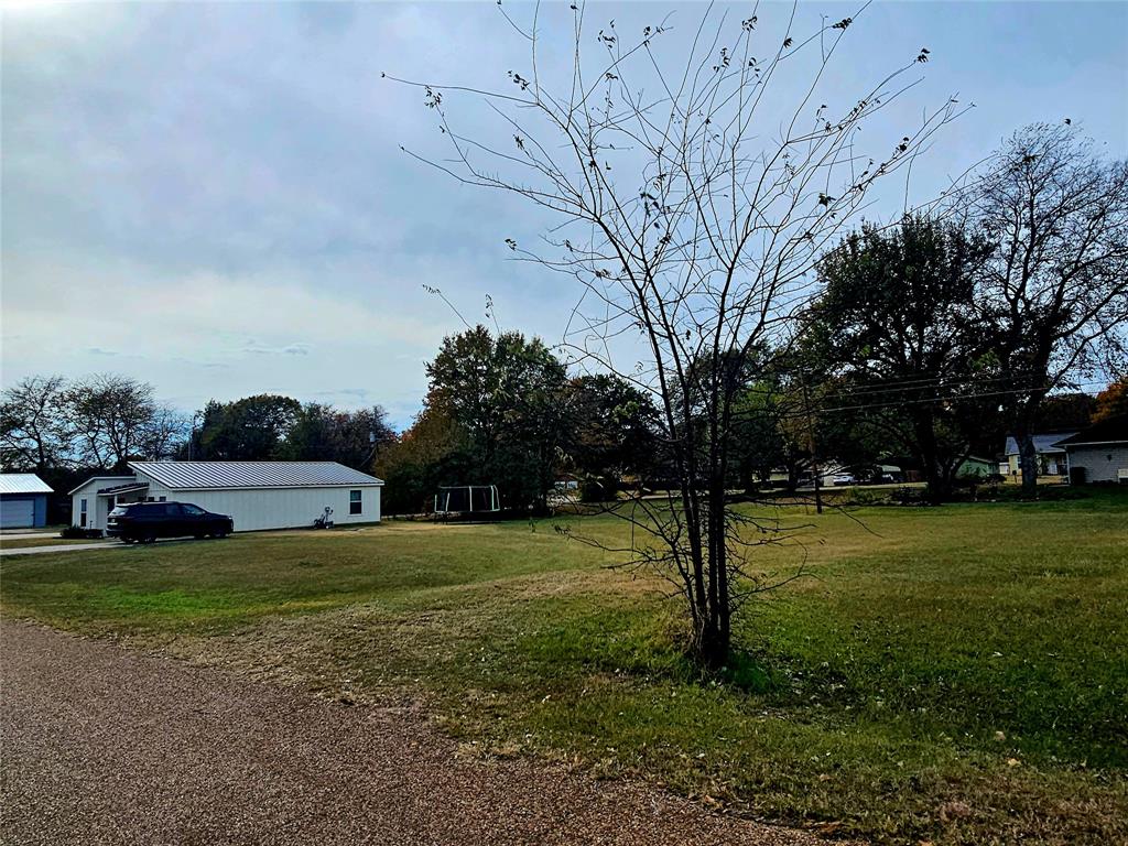 Tbd Oak Ridge Road Mabank, TX 75156 - Photo 3 of 8