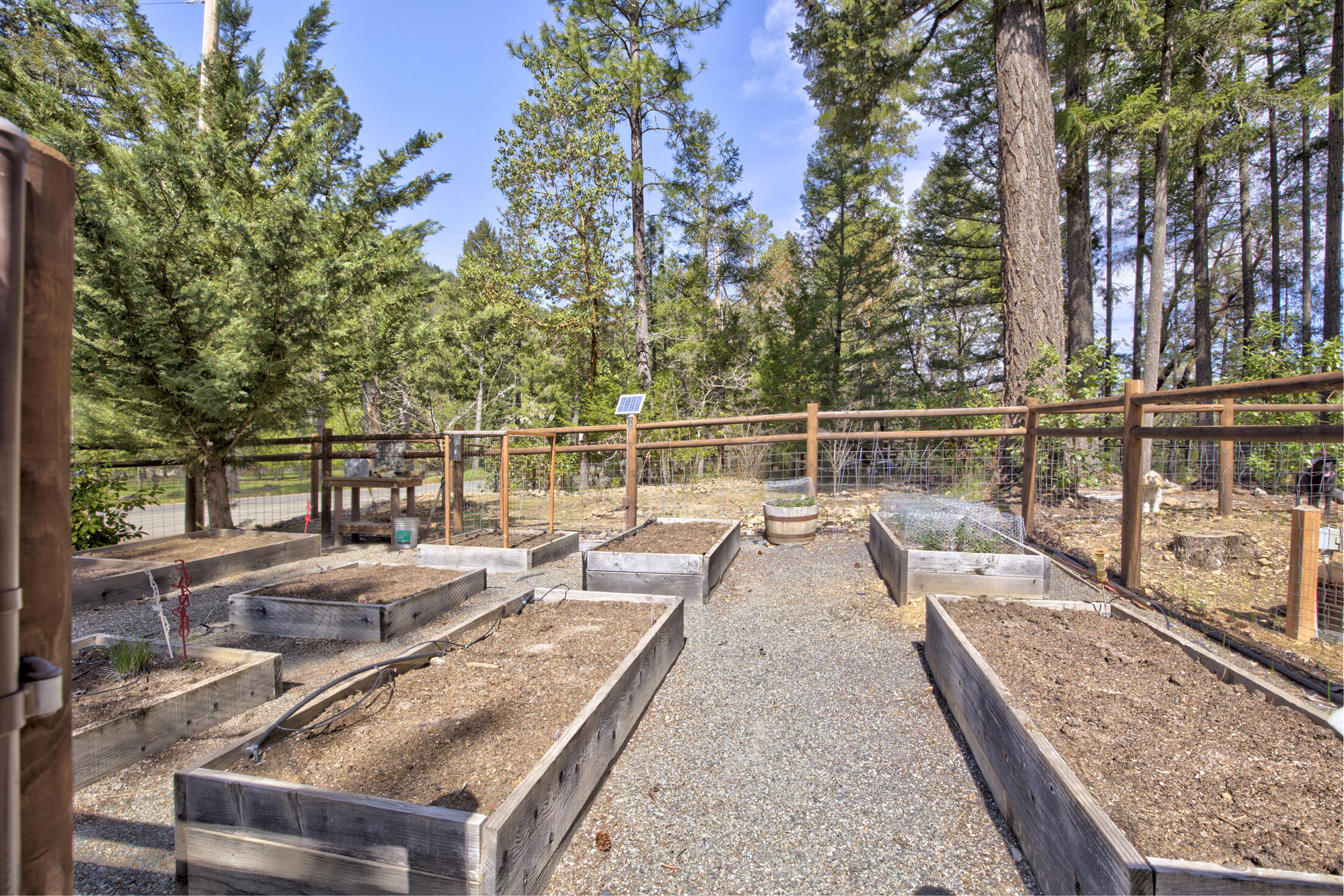 237 Marble Mountain Road Grants Pass, OR 97527 - Photo 36 of 53 0R1A1310_1_2_3_4