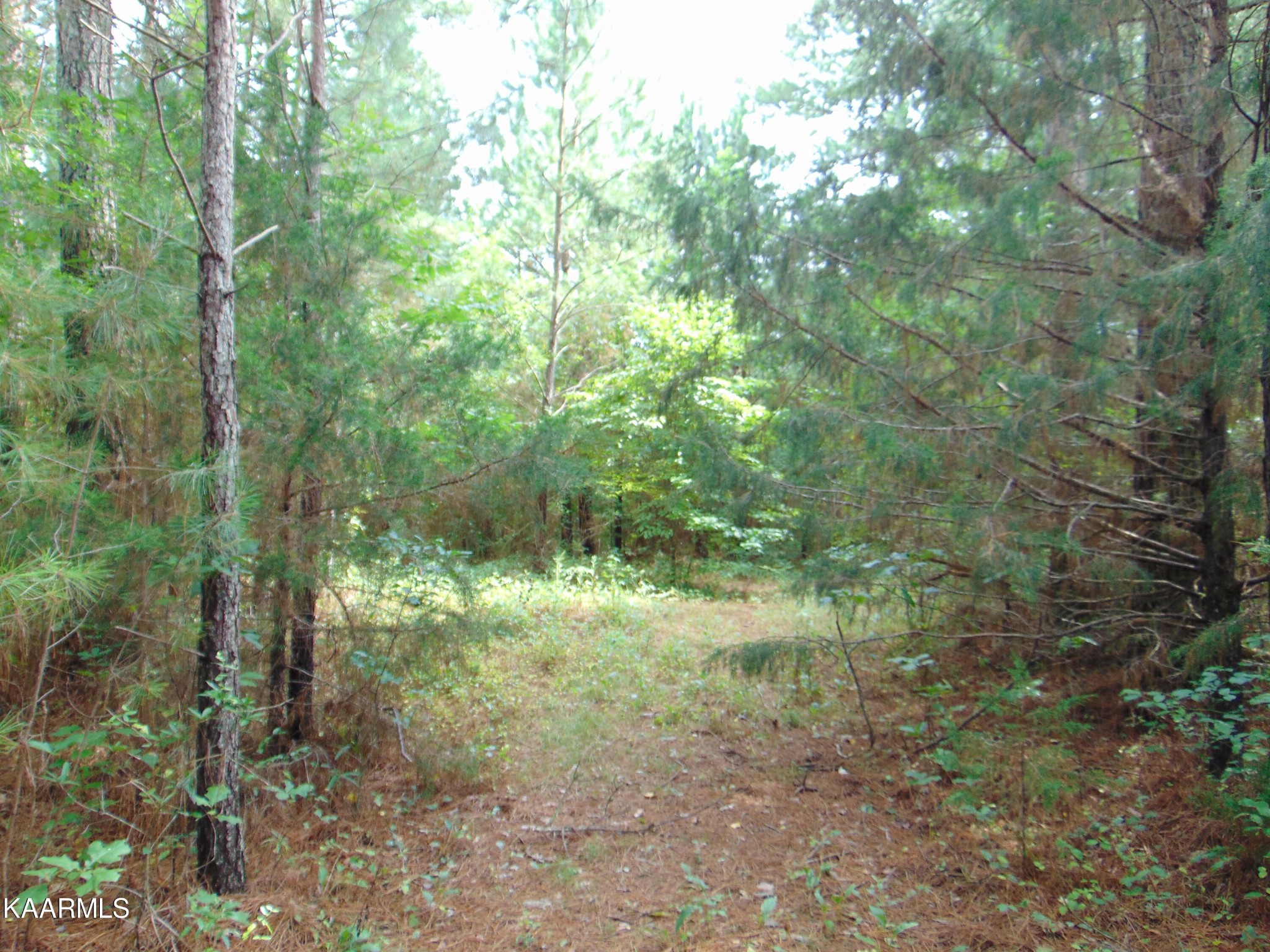 37 Pinhook Road Delano, TN 37325 - Photo 26 of 47 Gallery Image 26