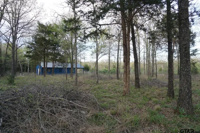 a view of outdoor space and tree