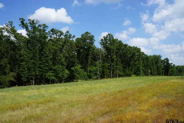 a view of a wooden door