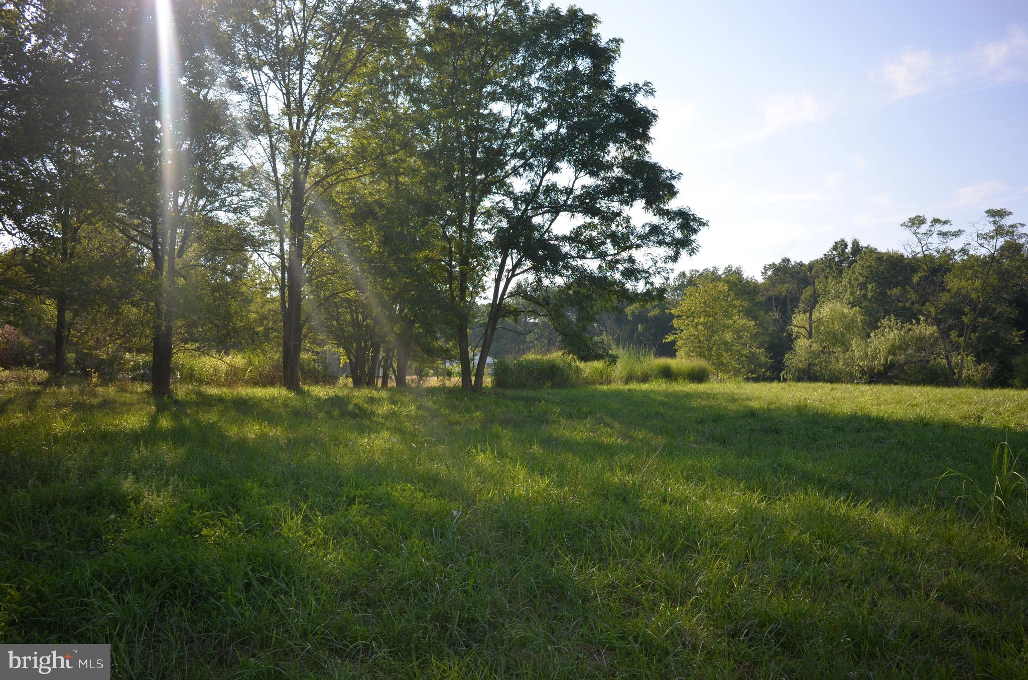 22501 Whites Ferry Road Dickerson, MD 20842 - Photo 9 of 10 Gallery Image 9