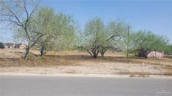 a view of a yard with plants and trees