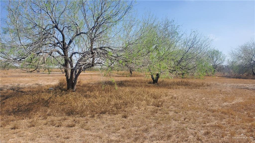 29123 North Kansas City Road La Feria, TX 78559 - Photo 2 of 3 a view of a yard with a tree