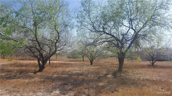 a view of outdoor space with trees
