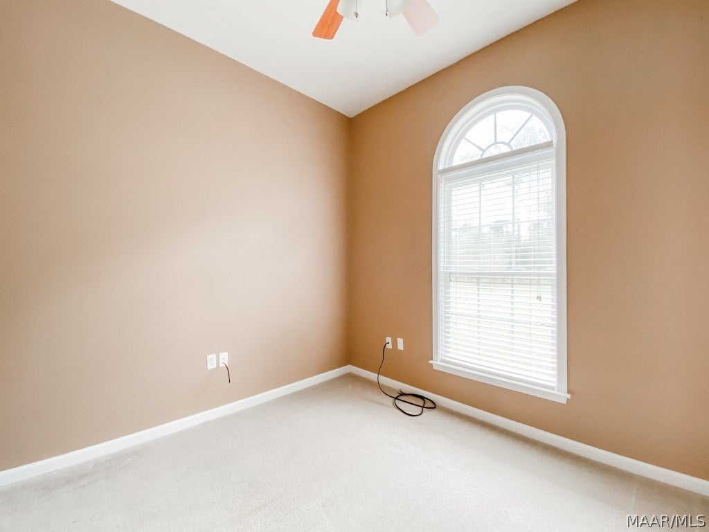 354 River Road Samson, AL 36477 - Photo 30 of 66 Gallery Image 30