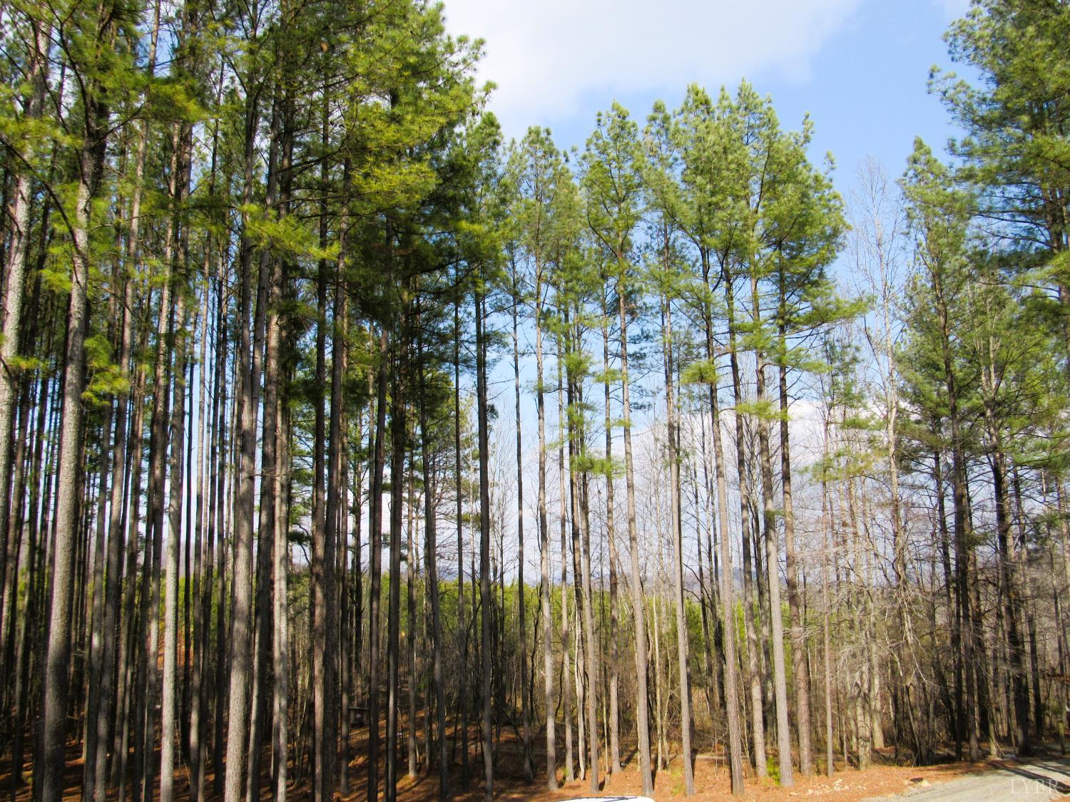 3324 Laurel Road Shipman, VA 22971 - Photo 31 of 38