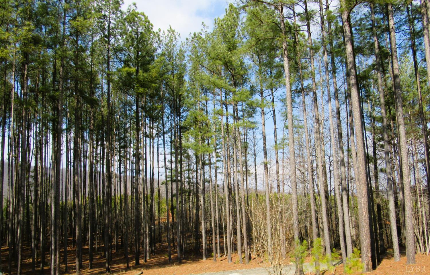 3324 Laurel Road Shipman, VA 22971 - Photo 35 of 38