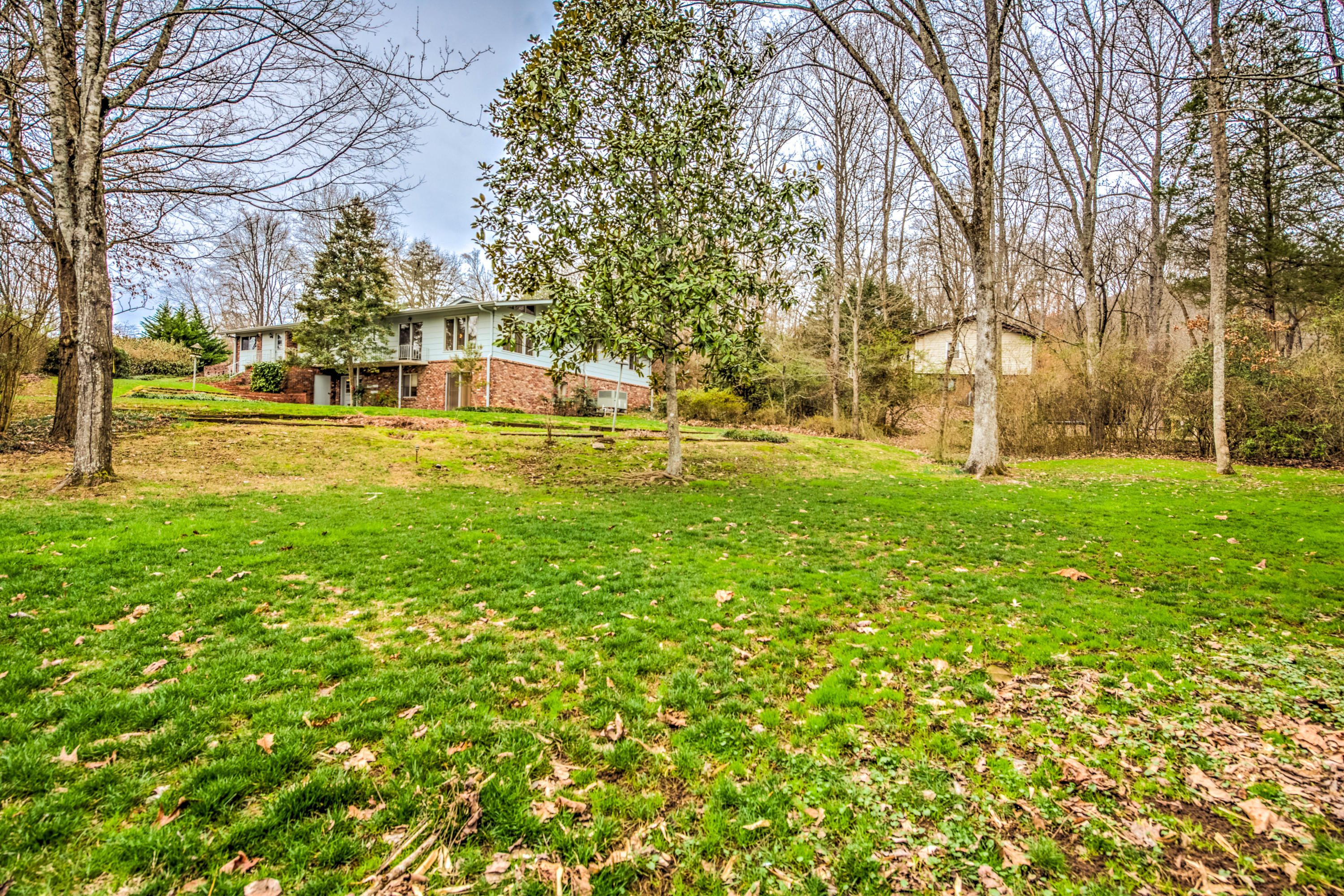 102 Burgess Lane Oak Ridge, TN 37830 - Photo 35 of 35 Lovely yard