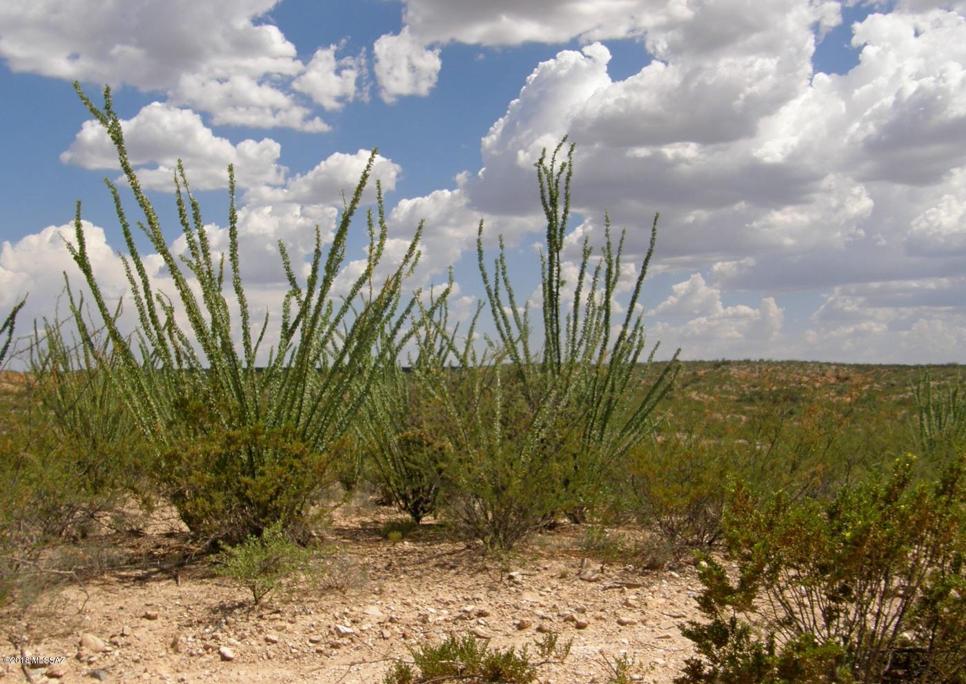 Lot 218 East Dragoon Ranch Road, Unit 218 St. David, AZ 85630 - Photo 1 of 16