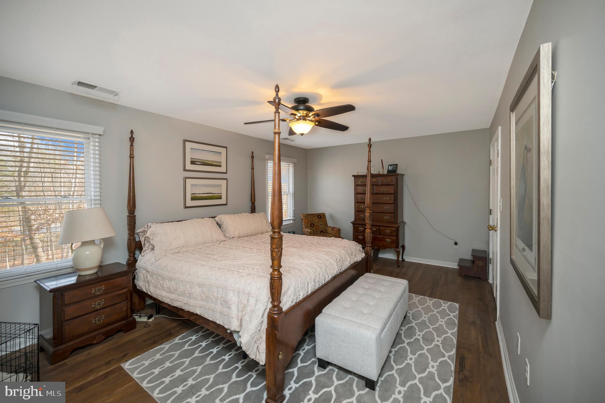 106 Chesterfield Court Locust Grove, VA 22508 - Photo 20 of 59 Primary bedroom with outdoor lighting.