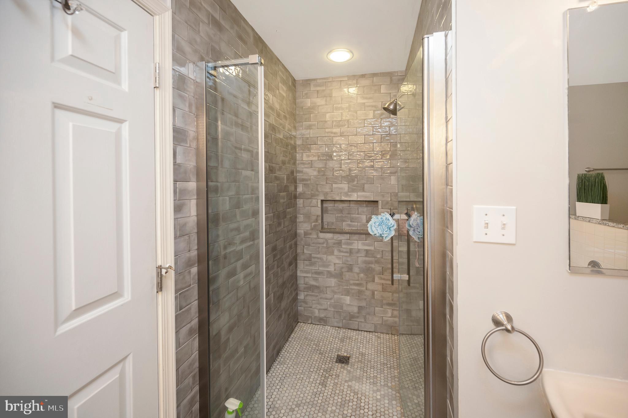 106 Chesterfield Court Locust Grove, VA 22508 - Photo 25 of 59 Primary bathroom includes standup shower.