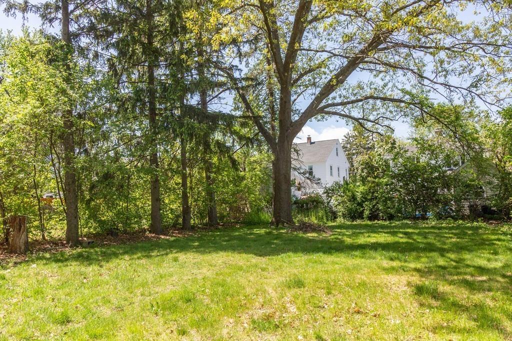 116 Jenness Street Springfield, MA 01104 - Photo 37 of 42 a view of backyard with green space