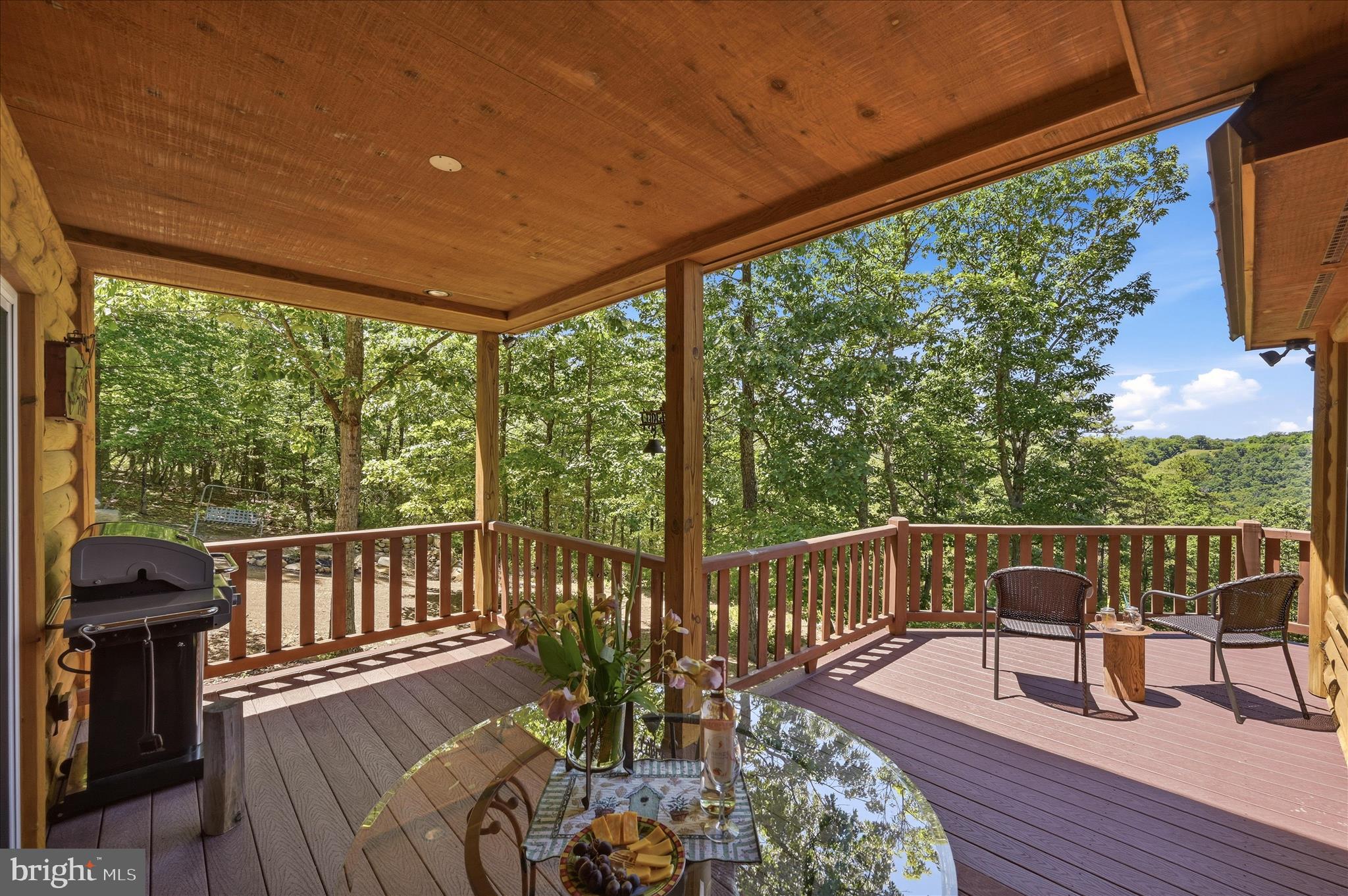 2315 Ritter Drive Yellow Spring, WV 26865 - Photo 46 of 90 Balcony View
