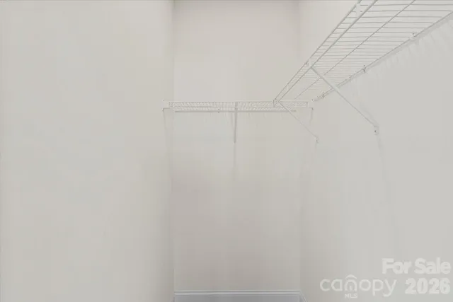 a view of dirt yard with a large tree