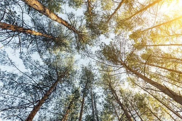 $26,900 | 307 Nagle Court, Lehigh Acres, FL 33920