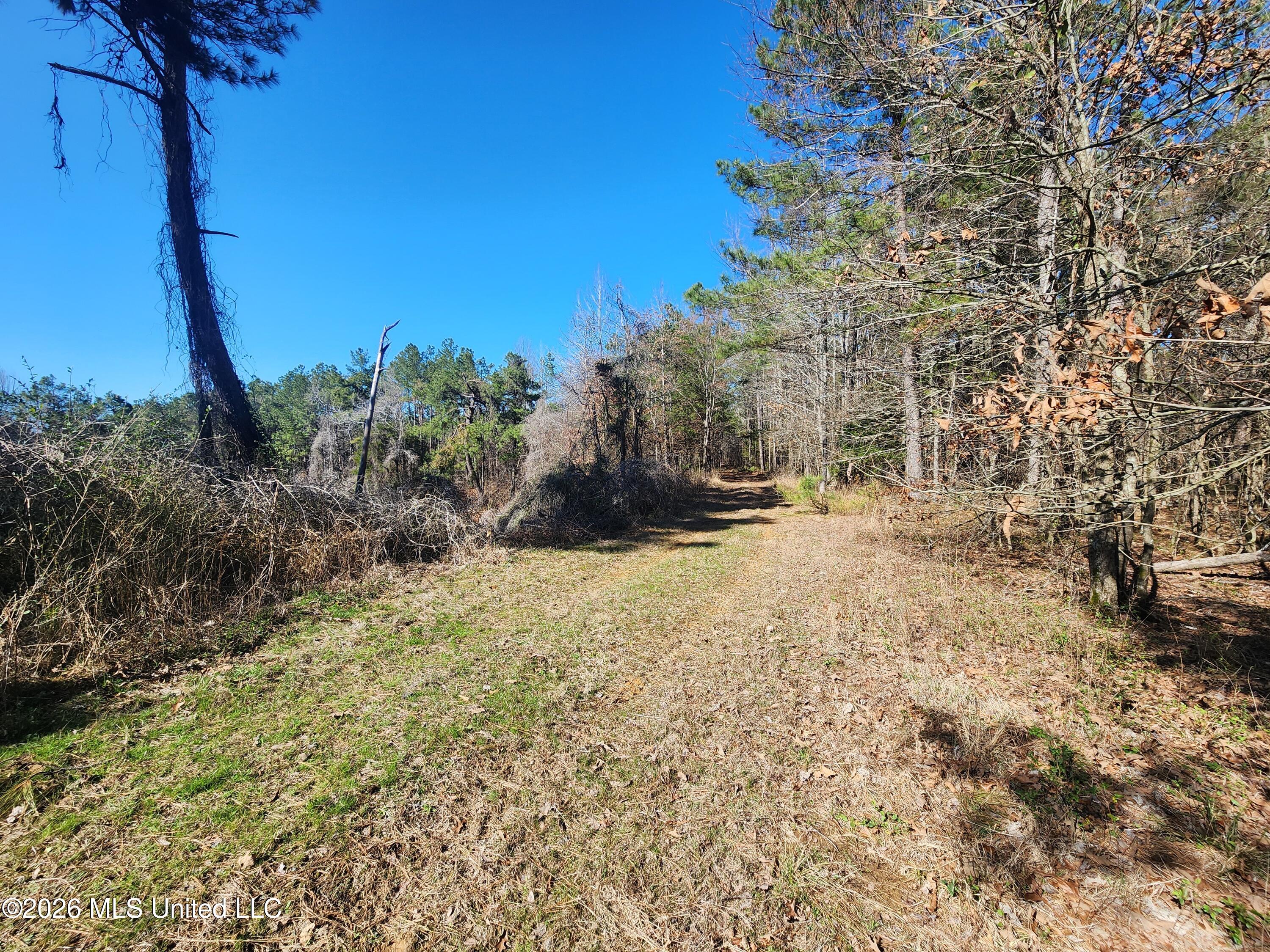 4196 Wyatte-Tyro Road Senatobia, MS 38668 - Photo 11 of 20 20260227_142217