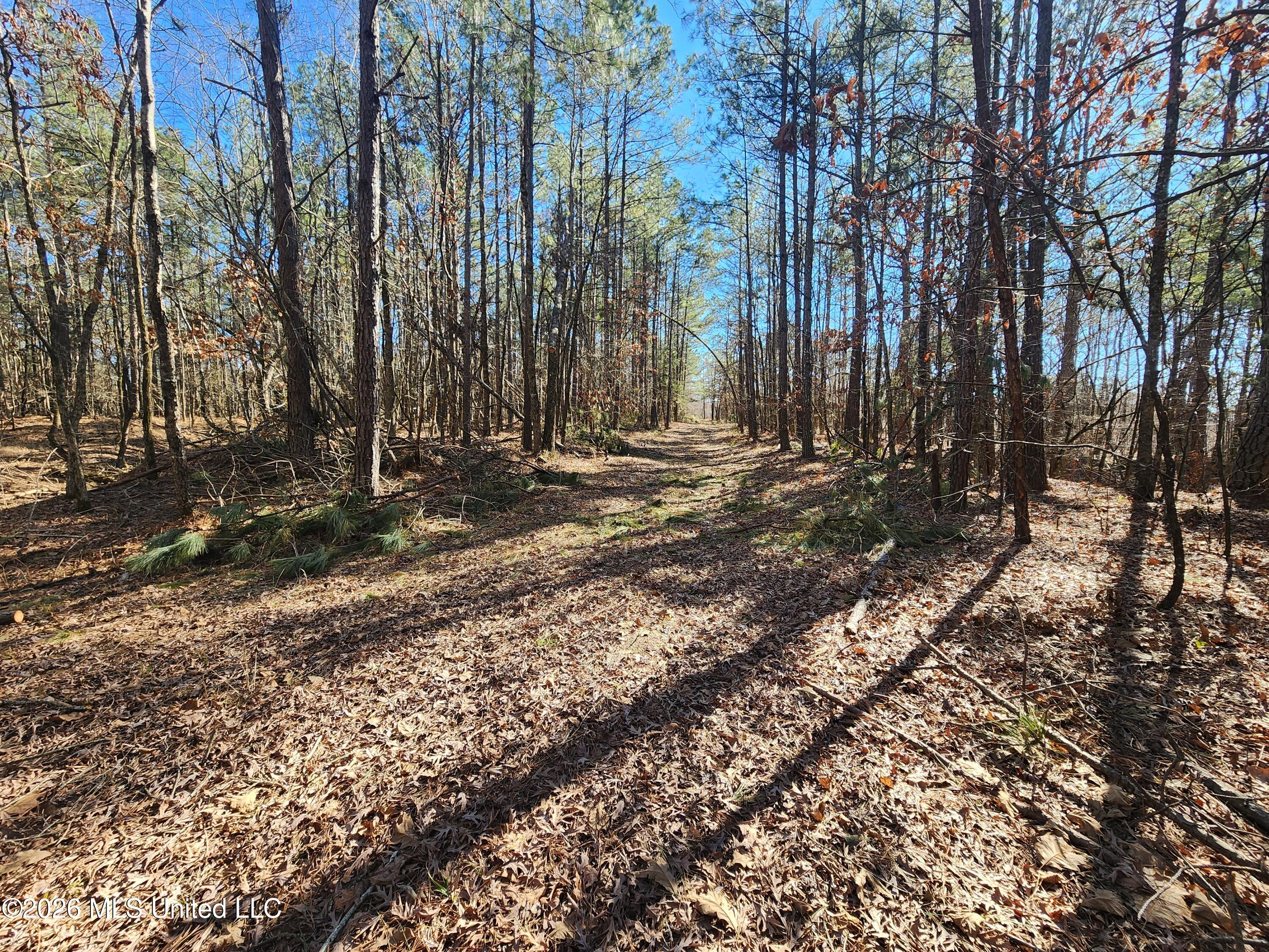 4196 Wyatte-Tyro Road Senatobia, MS 38668 - Photo 12 of 20 20260227_142631