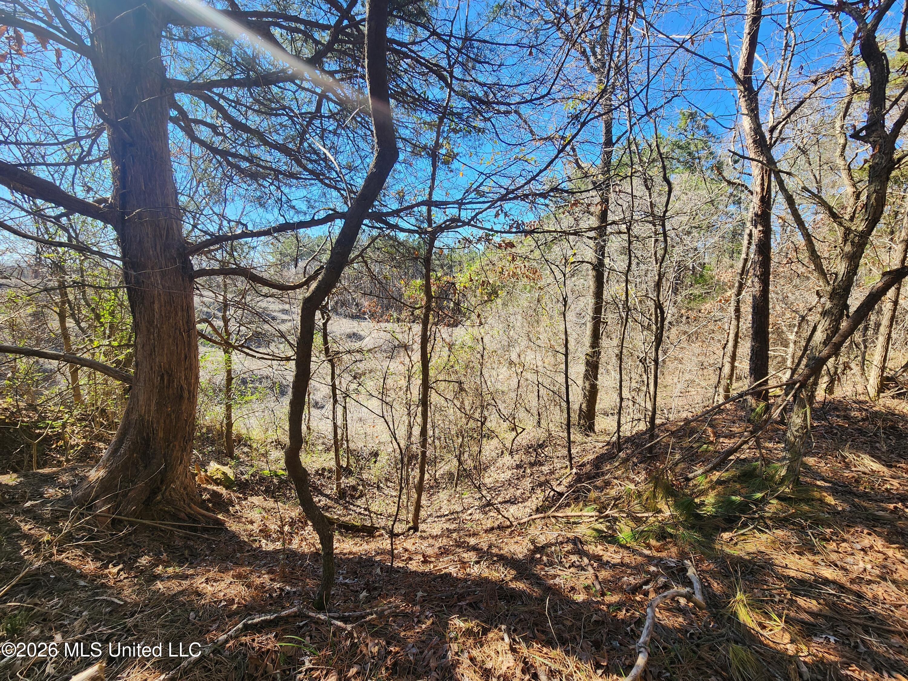 4196 Wyatte-Tyro Road Senatobia, MS 38668 - Photo 14 of 20 20260227_142754