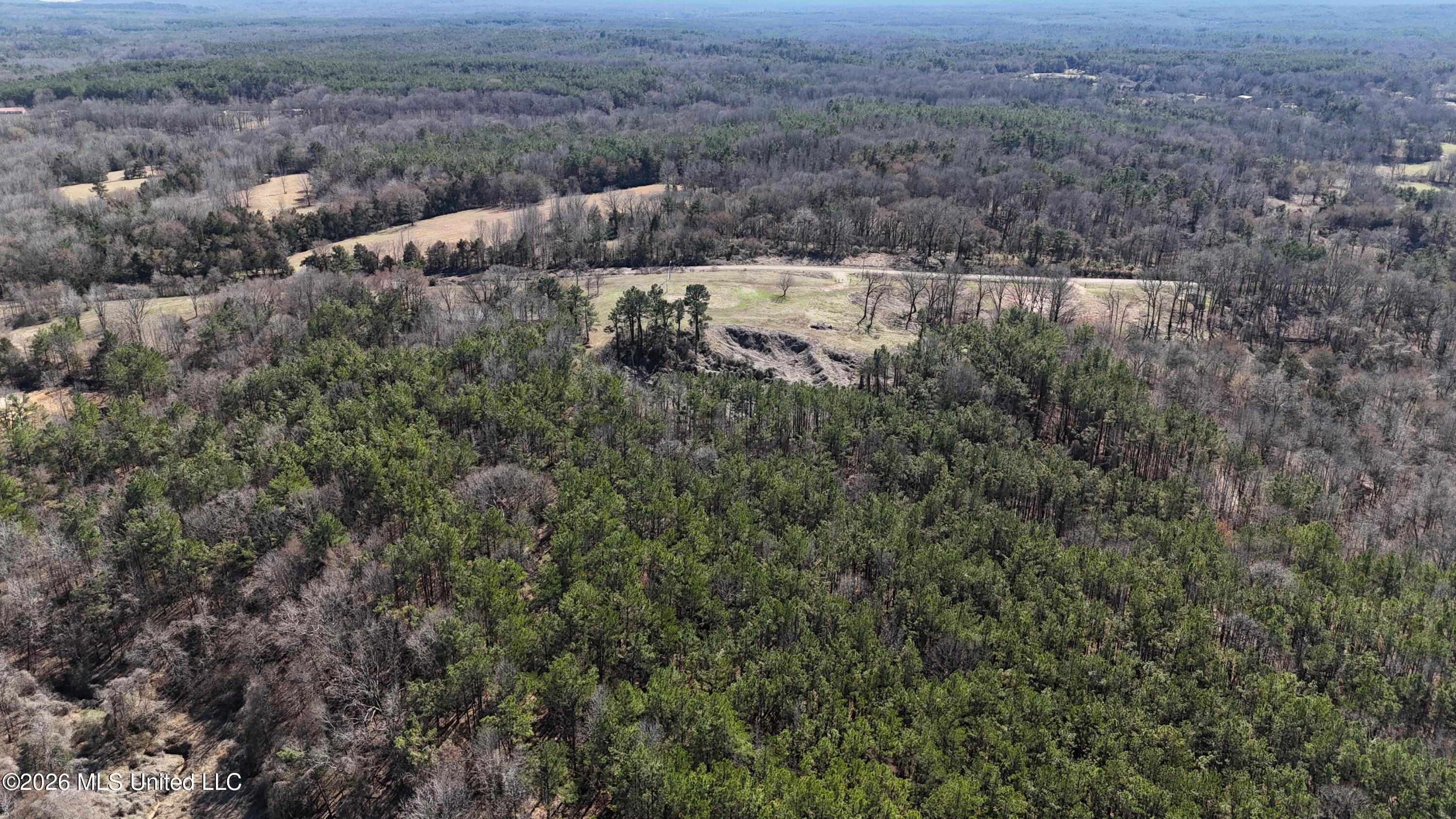 4196 Wyatte-Tyro Road Senatobia, MS 38668 - Photo 18 of 20 DJI_20260227143923_0785_D