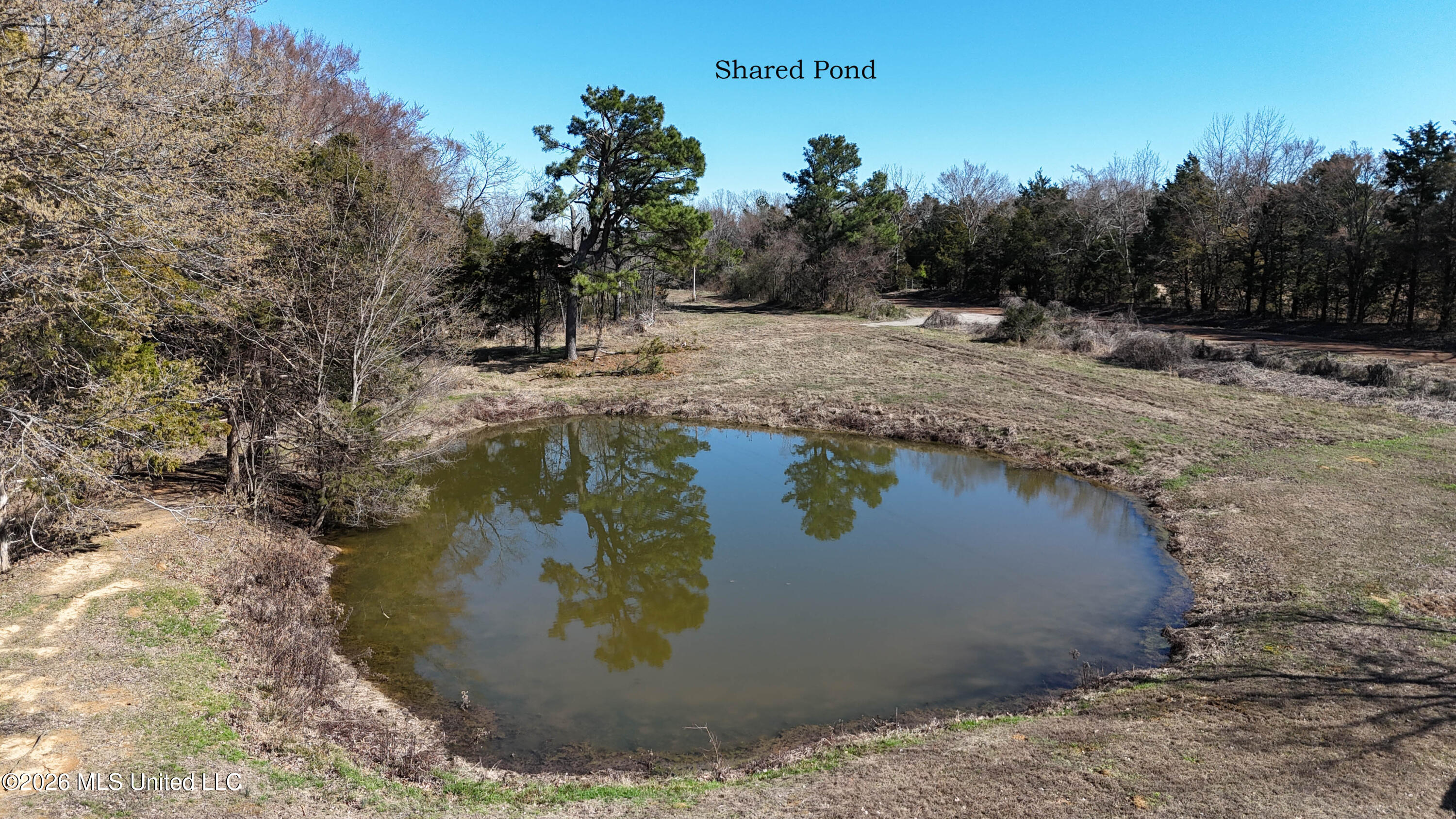 4196 Wyatte-Tyro Road Senatobia, MS 38668 - Photo 19 of 20 DJI_20260227145315_0814_D copy