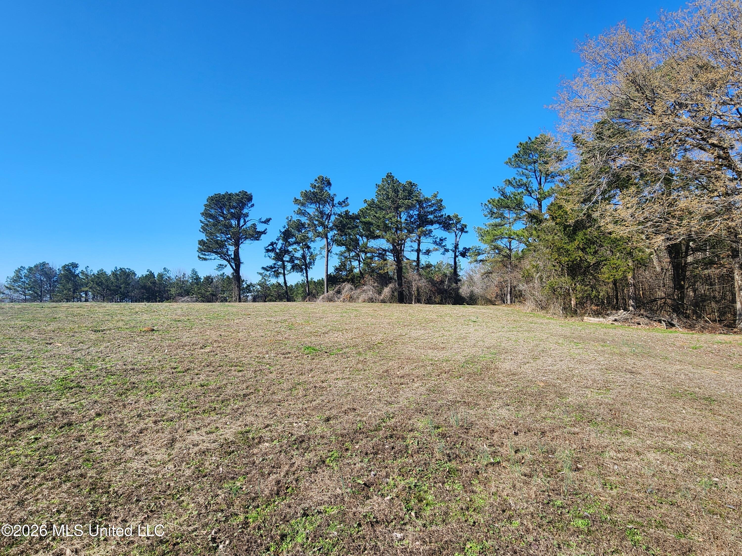 4196 Wyatte-Tyro Road Senatobia, MS 38668 - Photo 4 of 20 20260227_141741