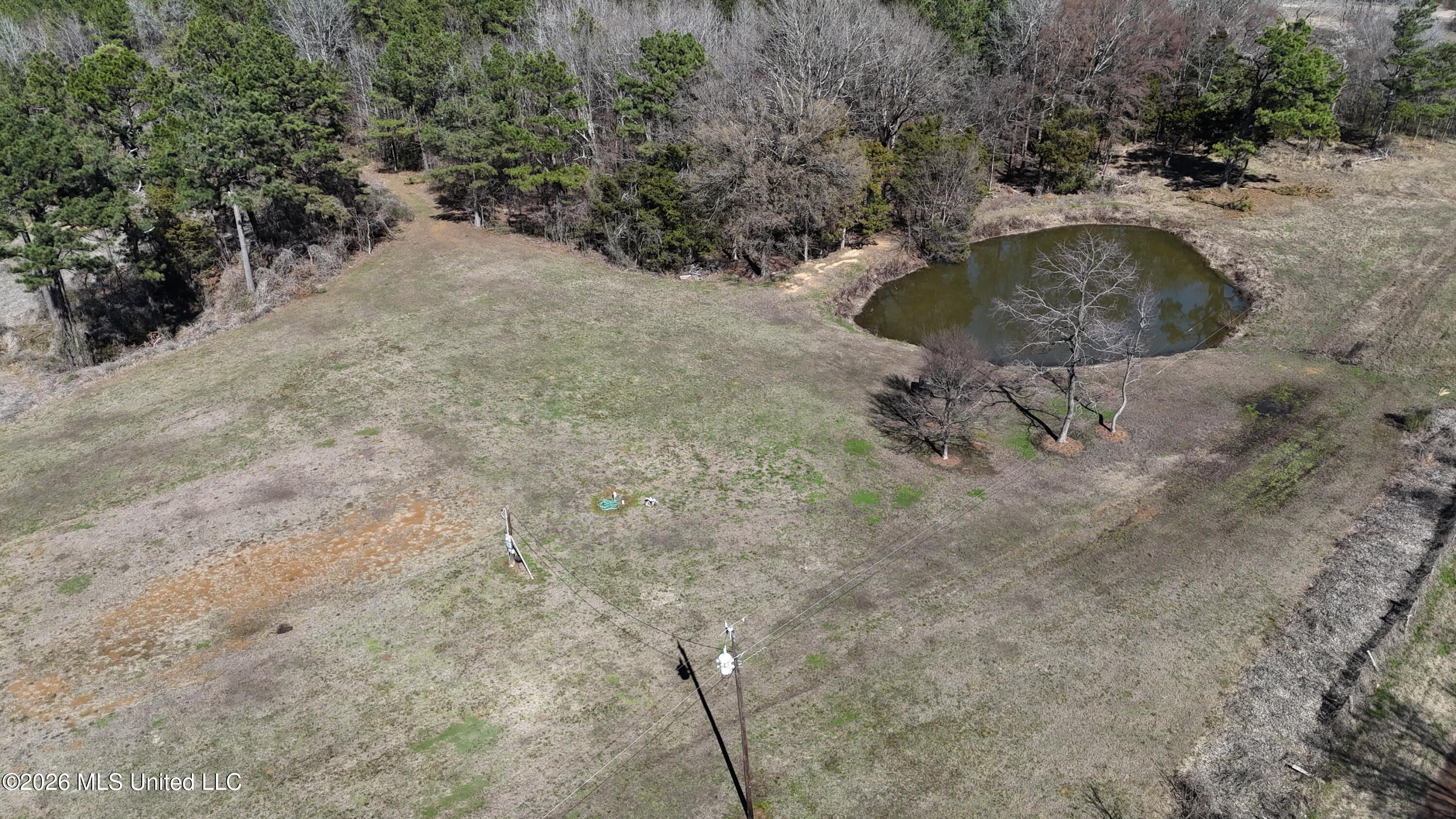 4196 Wyatte-Tyro Road Senatobia, MS 38668 - Photo 5 of 20 DJI_20260227143649_0782_D
