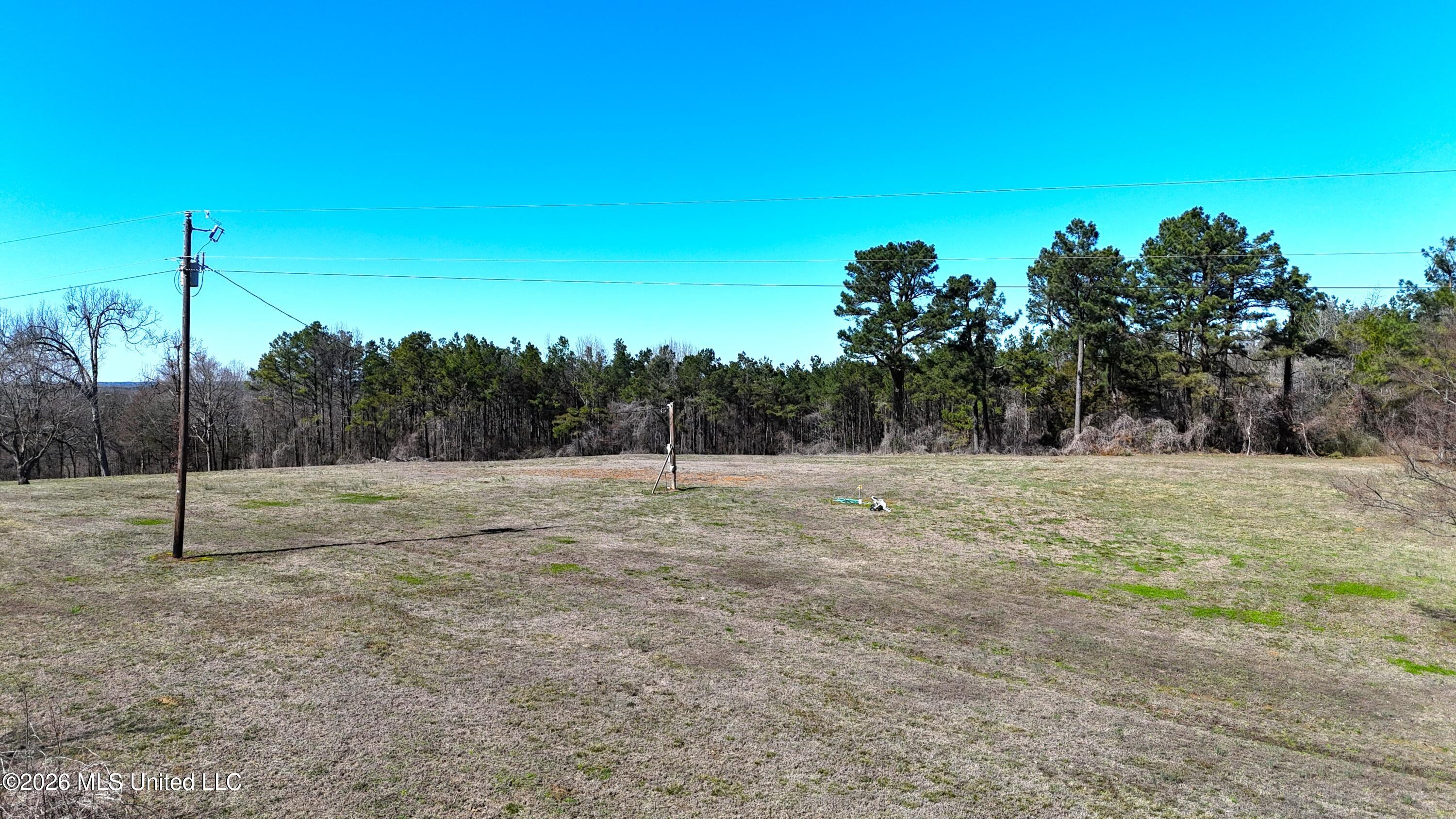 4196 Wyatte-Tyro Road Senatobia, MS 38668 - Photo 6 of 20 DJI_20260227143604_0781_D