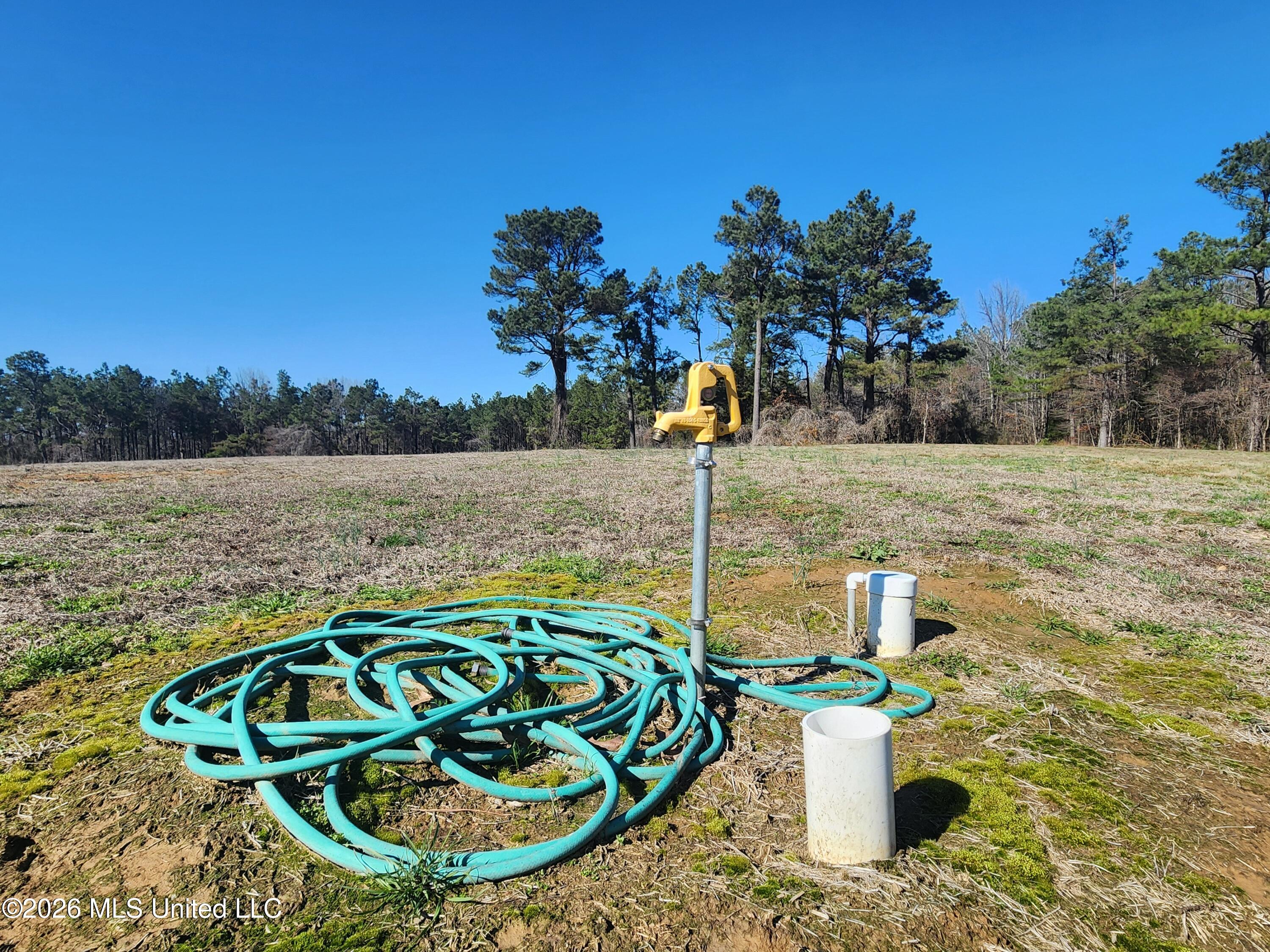 4196 Wyatte-Tyro Road Senatobia, MS 38668 - Photo 8 of 20 20260227_141822