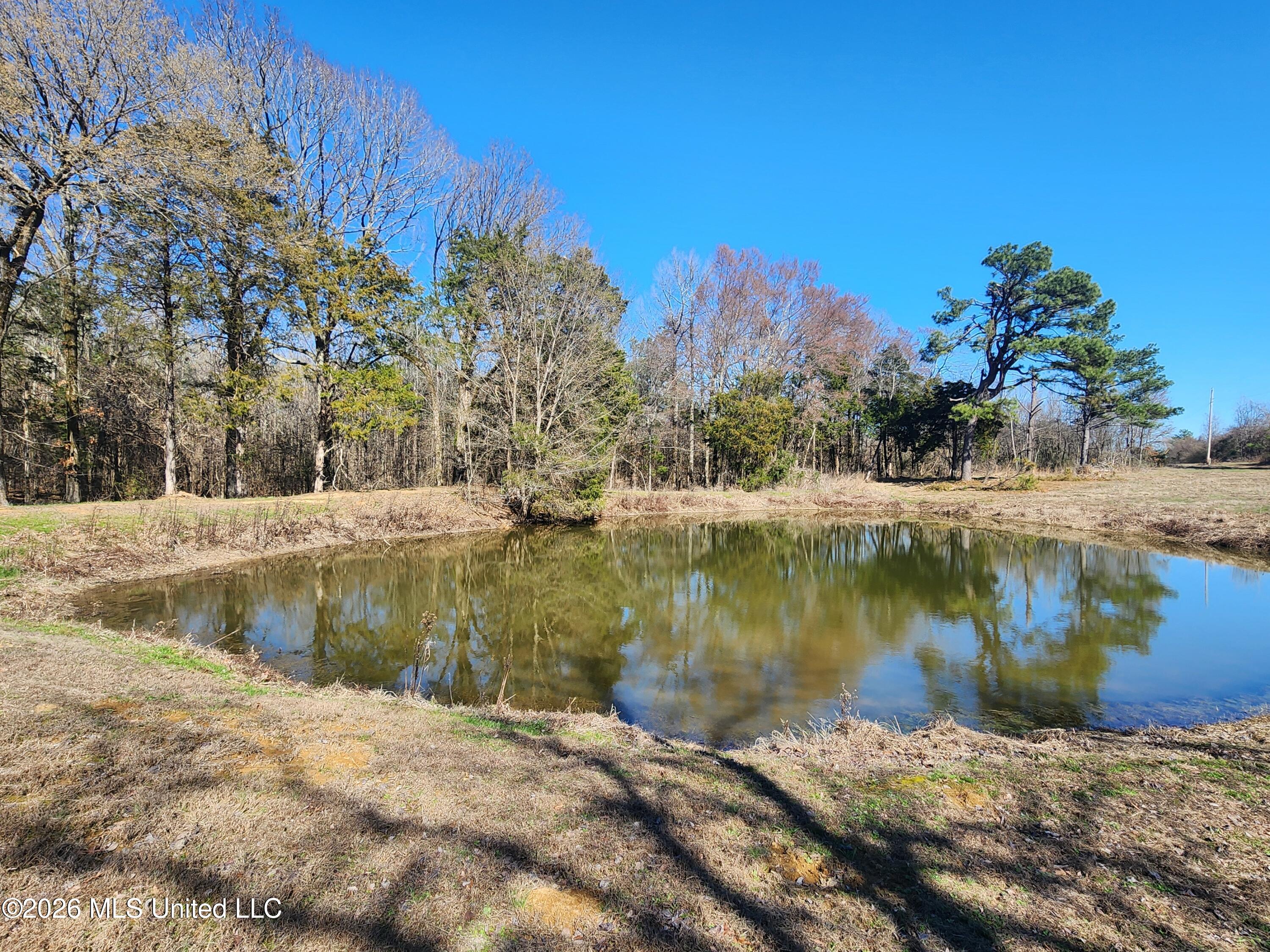4196 Wyatte-Tyro Road Senatobia, MS 38668 - Photo 9 of 20 20260227_141723