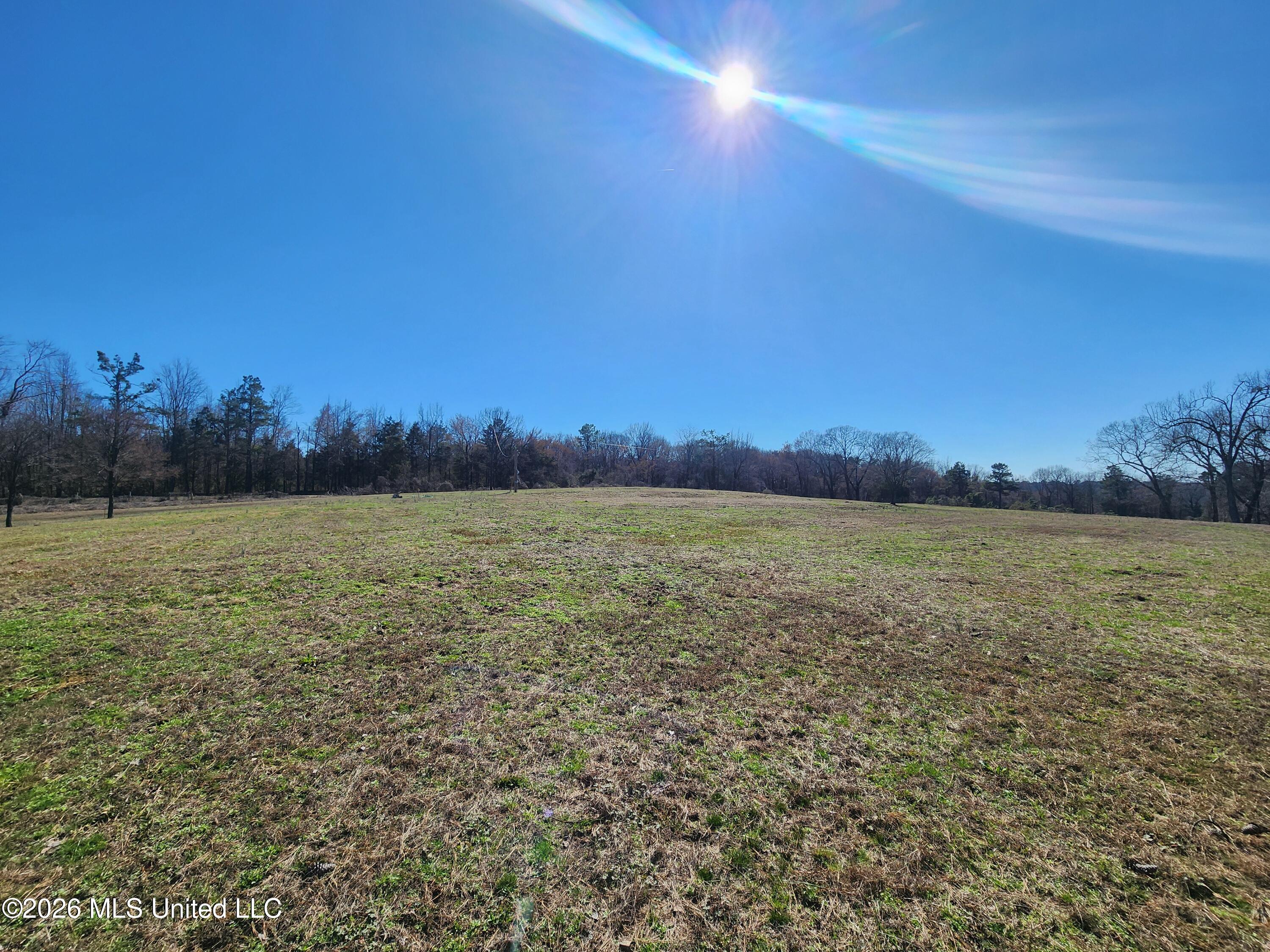 4196 Wyatte-Tyro Road Senatobia, MS 38668 - Photo 10 of 20 20260227_142112