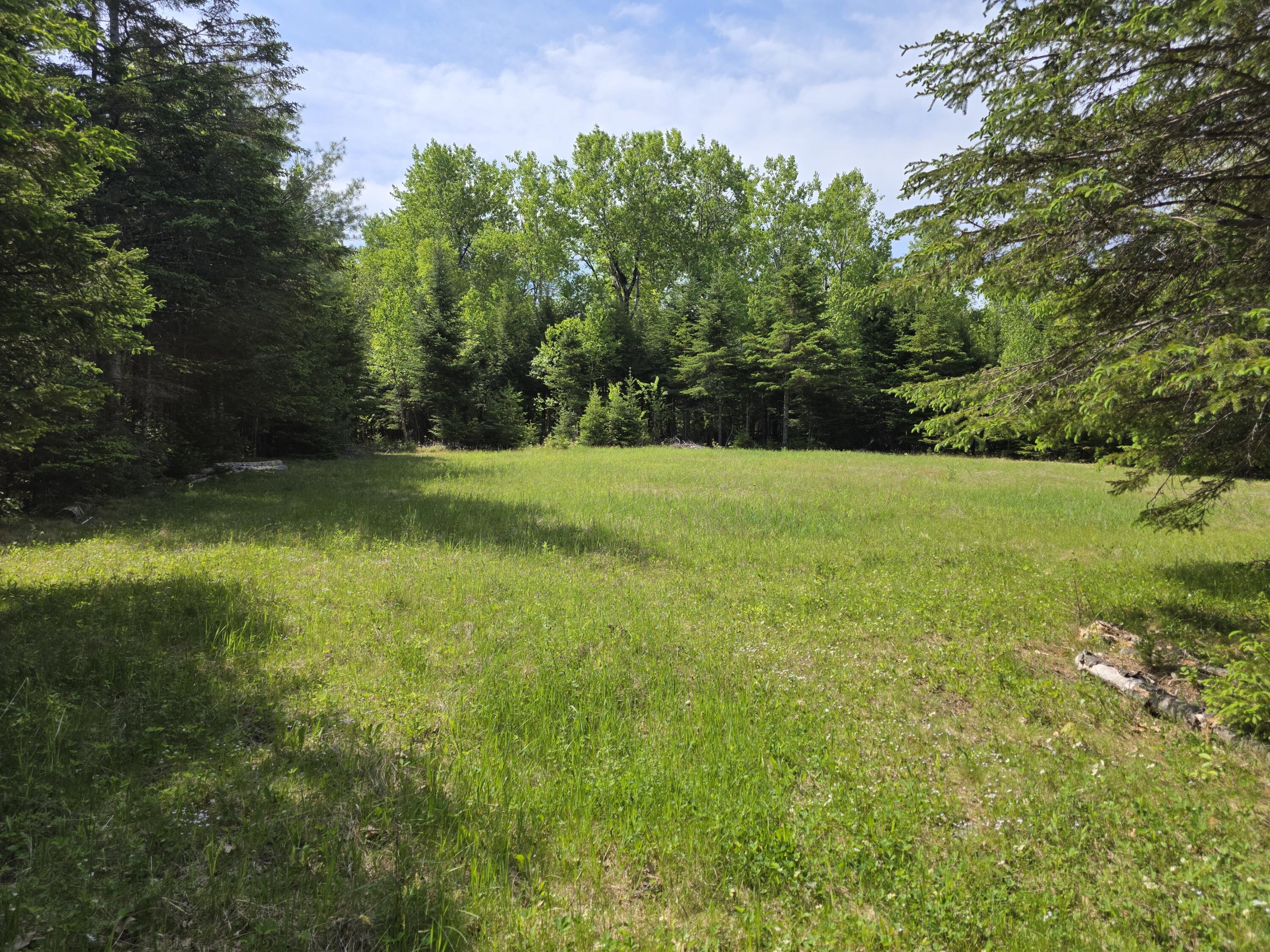 0 Morrison Road Bucksport, ME 04416 - Photo 10 of 16 20260527_101004