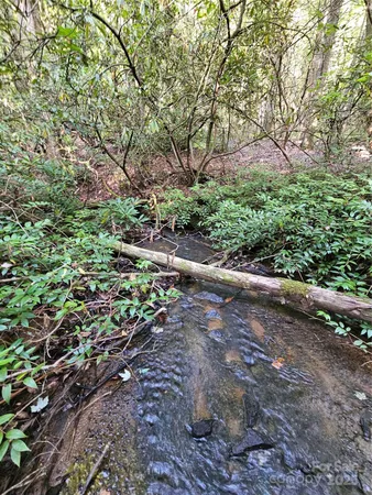 a big yard with flowing stream of water in front of it