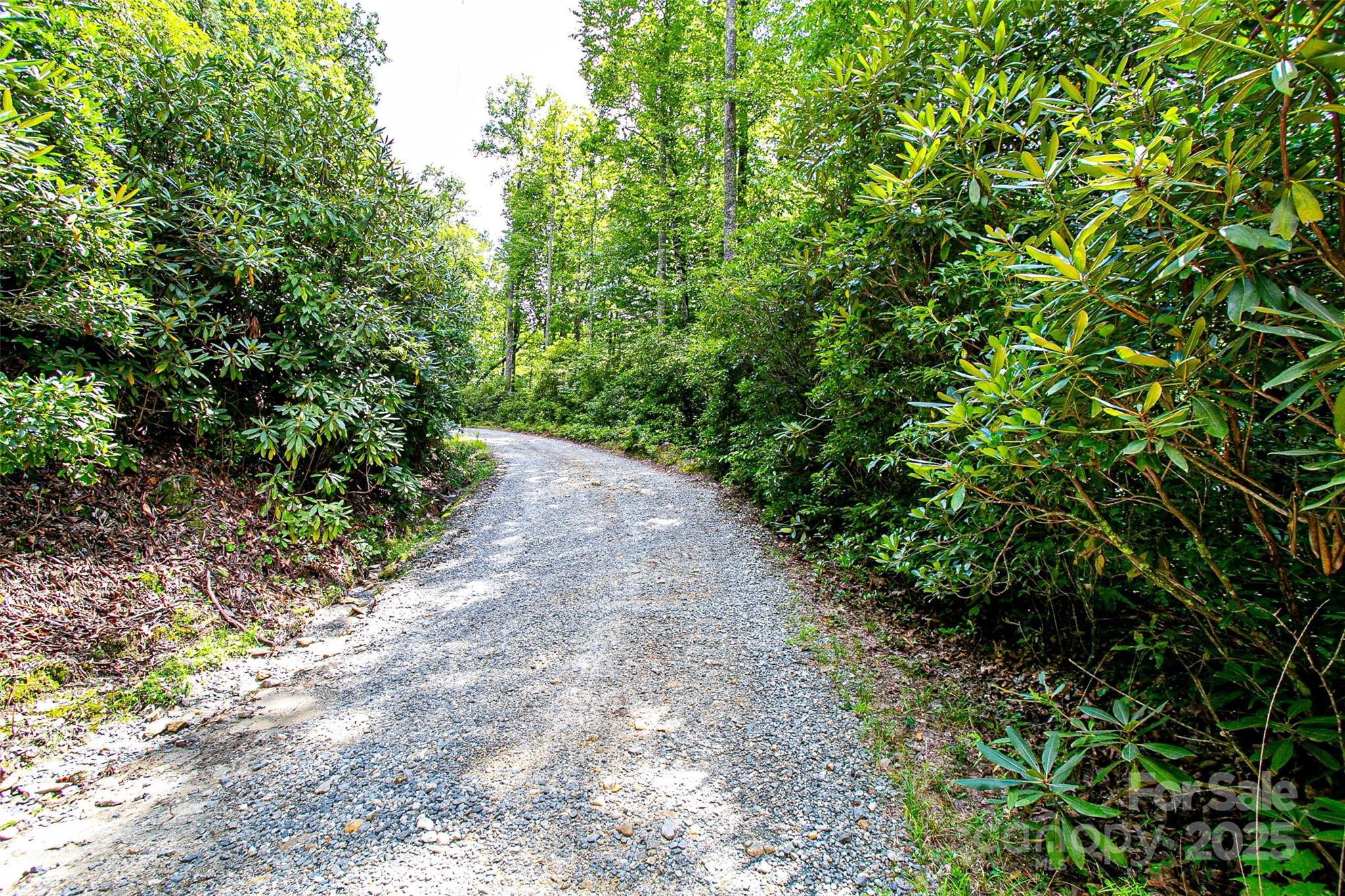 0 Happy Acres Road Brevard, NC 28712 - Photo 11 of 23 a view of a pathway both side of yard