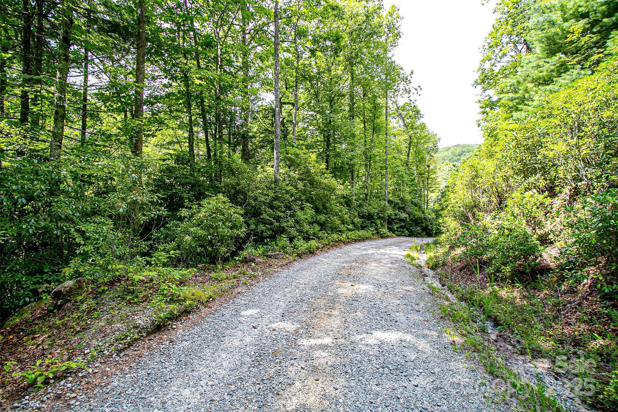 0 Happy Acres Road Brevard, NC 28712 - Photo 13 of 23 a view of a pathway both side of yard