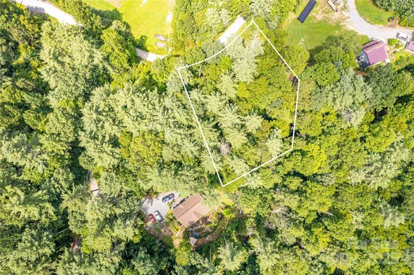 a view of a yard with a tree