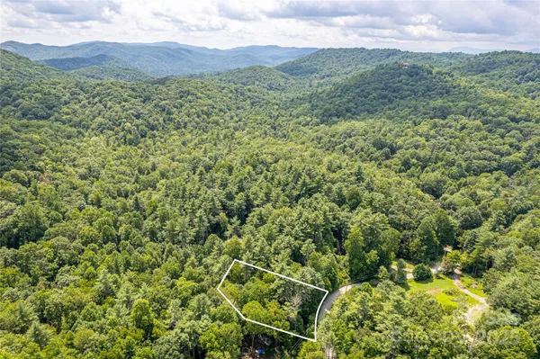 a view of a lush green hillside and a houses