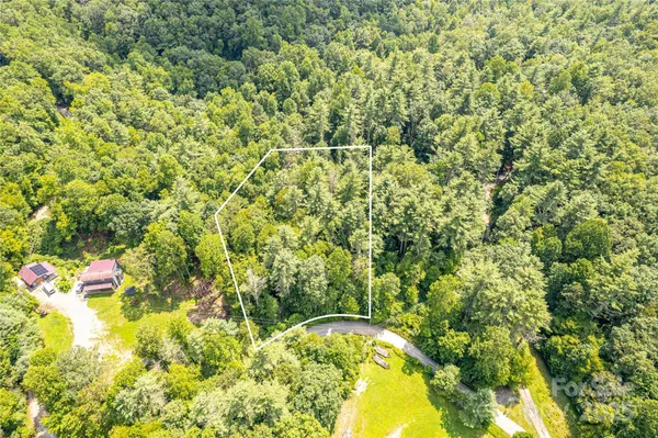 a view of a yard with a tree