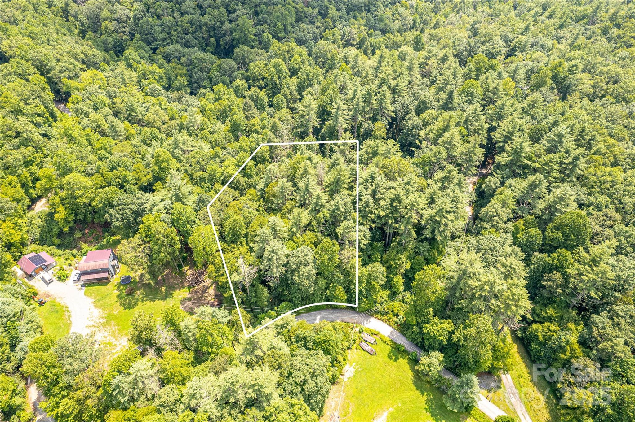 0 Happy Acres Road Brevard, NC 28712 - Photo 16 of 23 a view of a yard with a tree