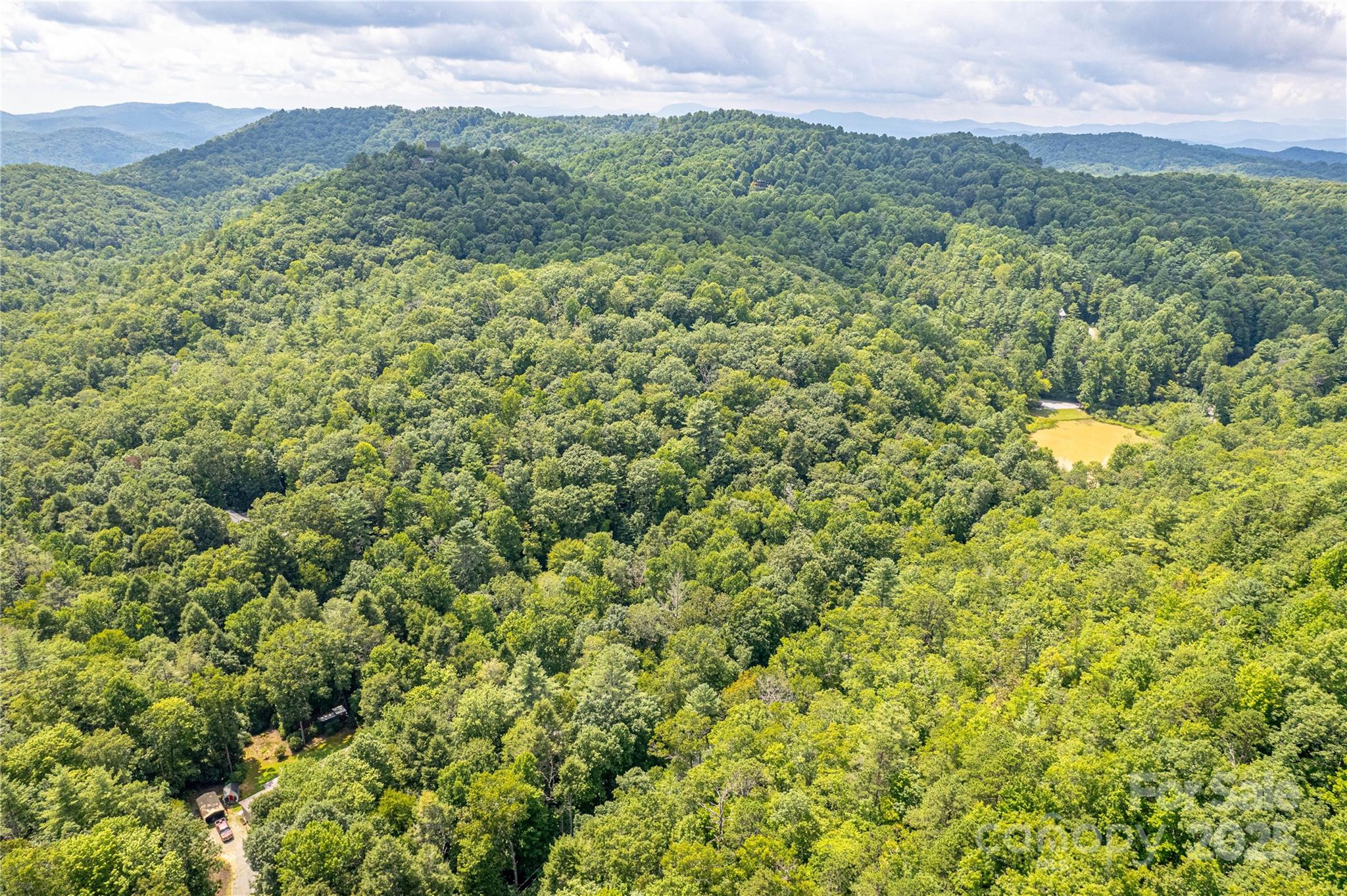 0 Happy Acres Road Brevard, NC 28712 - Photo 18 of 23 a view of a lush green forest with a mountain