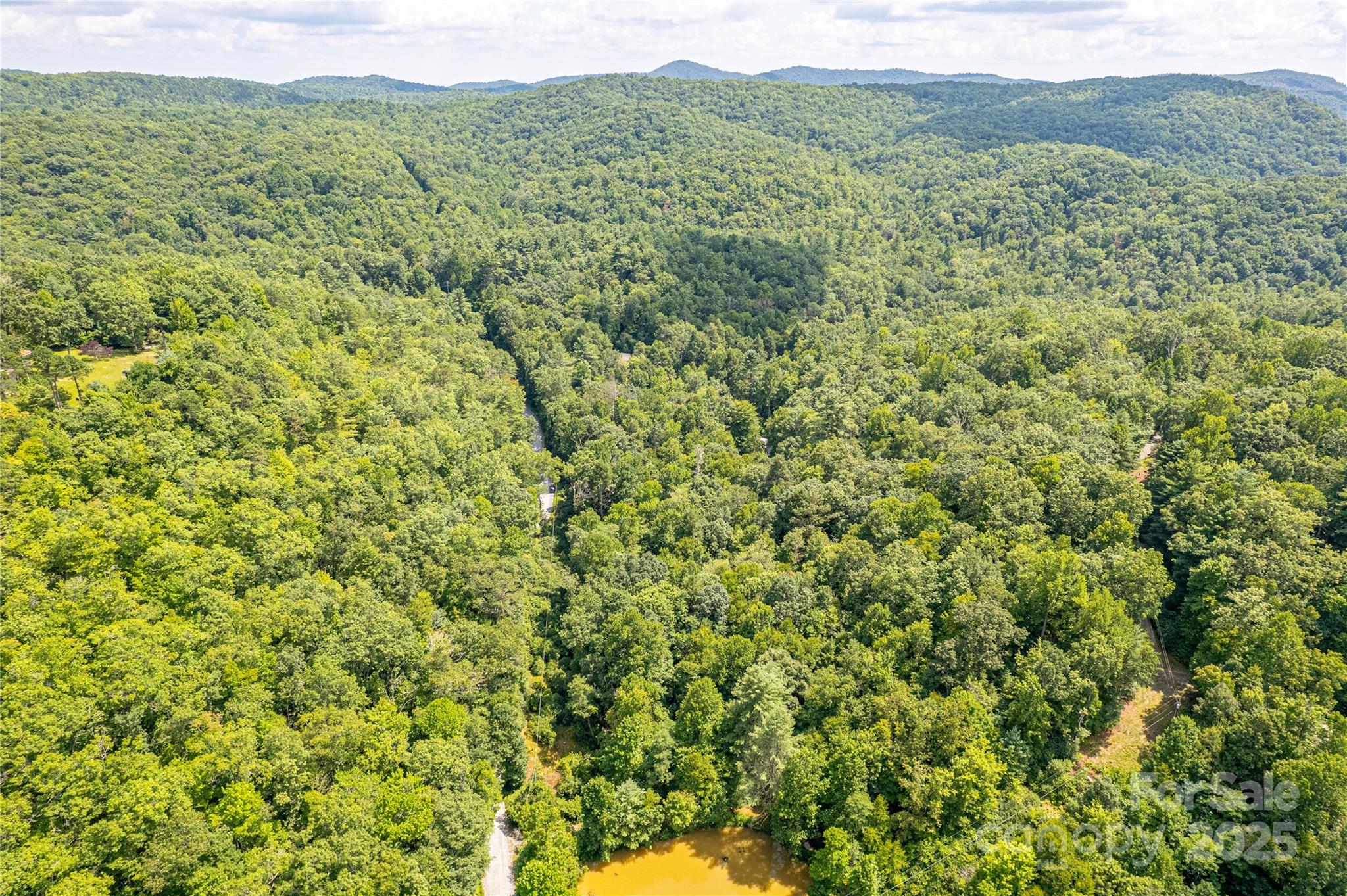 0 Happy Acres Road Brevard, NC 28712 - Photo 22 of 23 a view of a lush green forest with green field and mountains