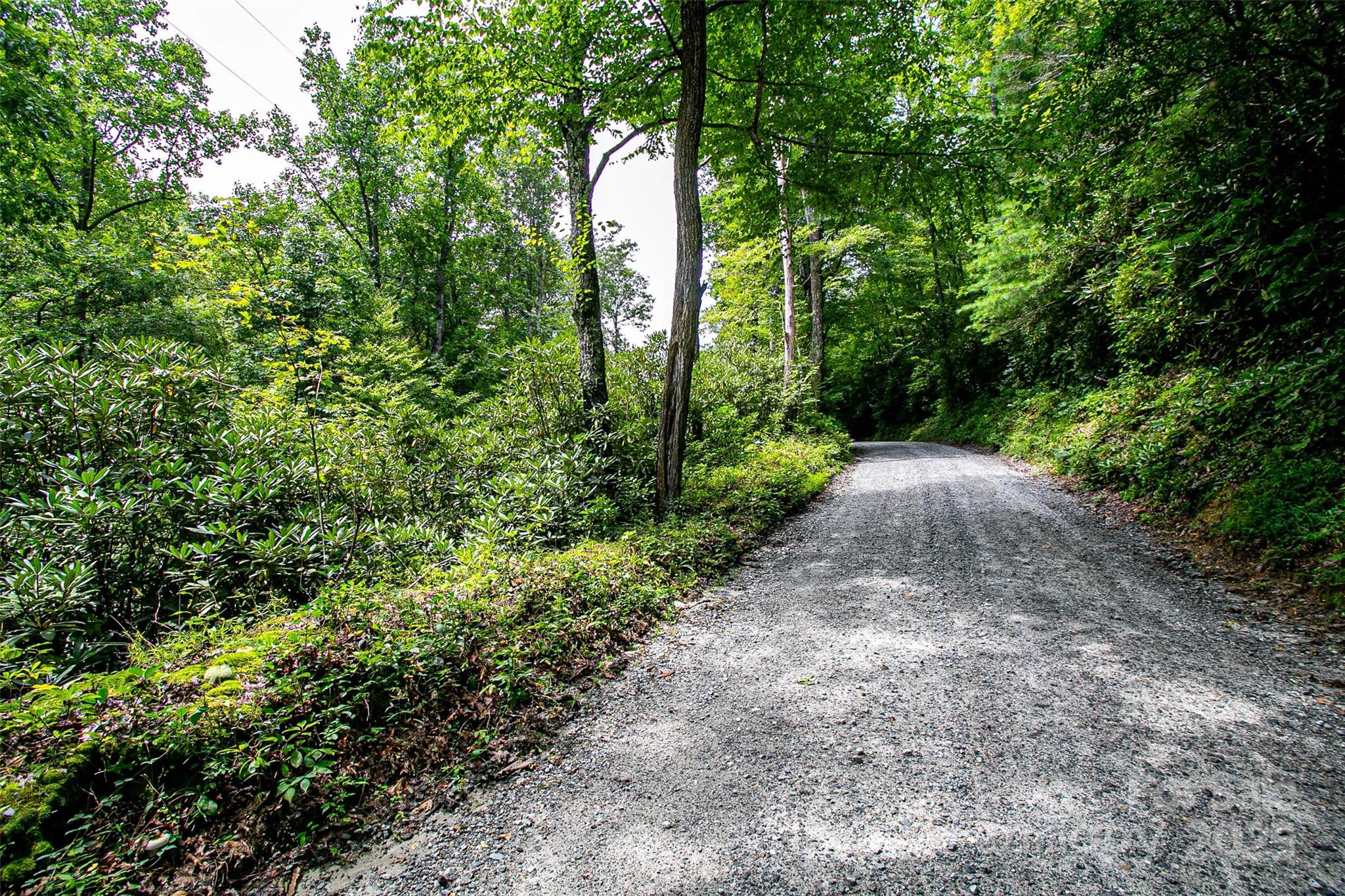0 Happy Acres Road Brevard, NC 28712 - Photo 4 of 23 a view of a yard with plants and trees