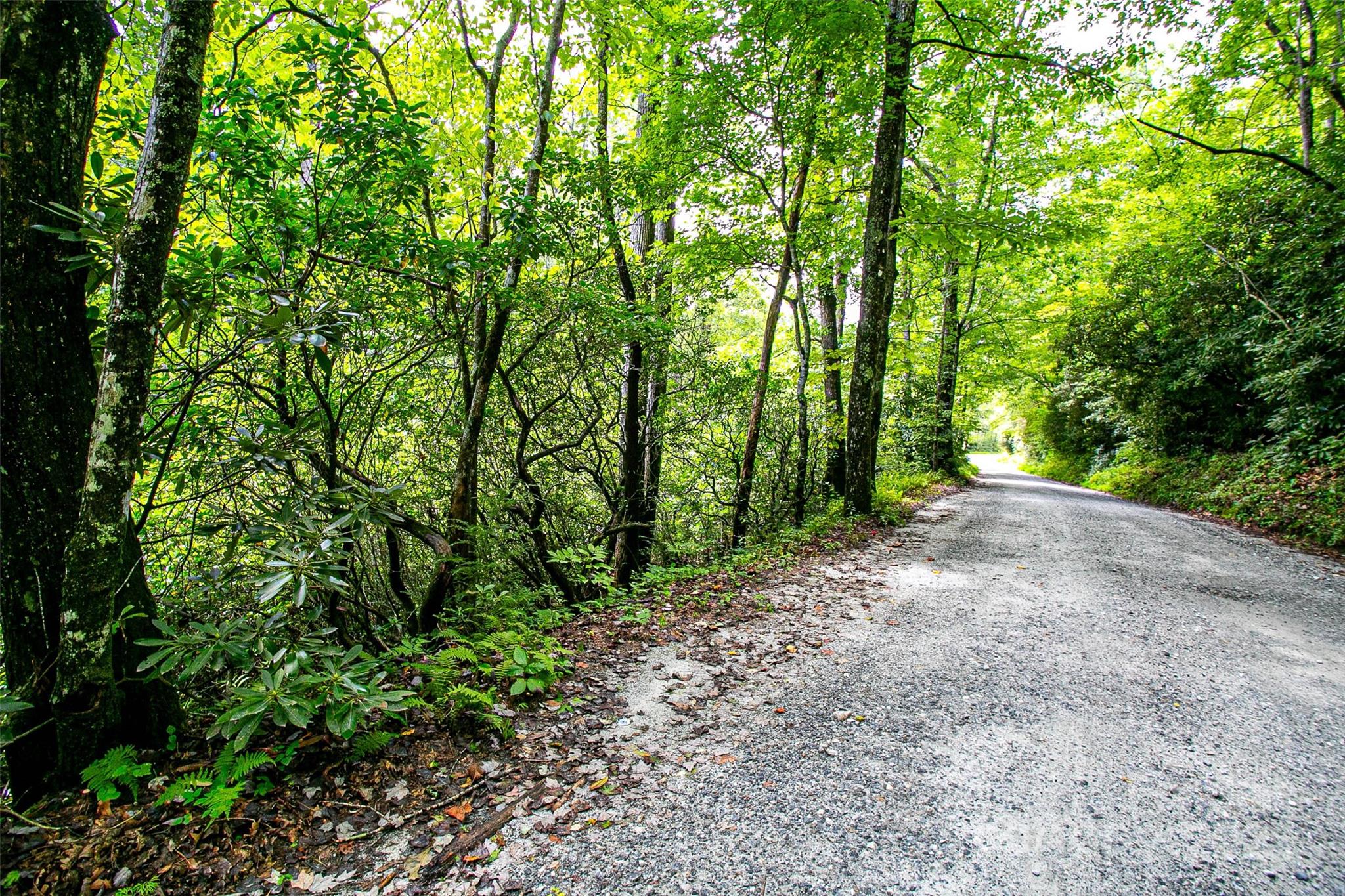 0 Happy Acres Road Brevard, NC 28712 - Photo 7 of 23 a view of a forest with trees