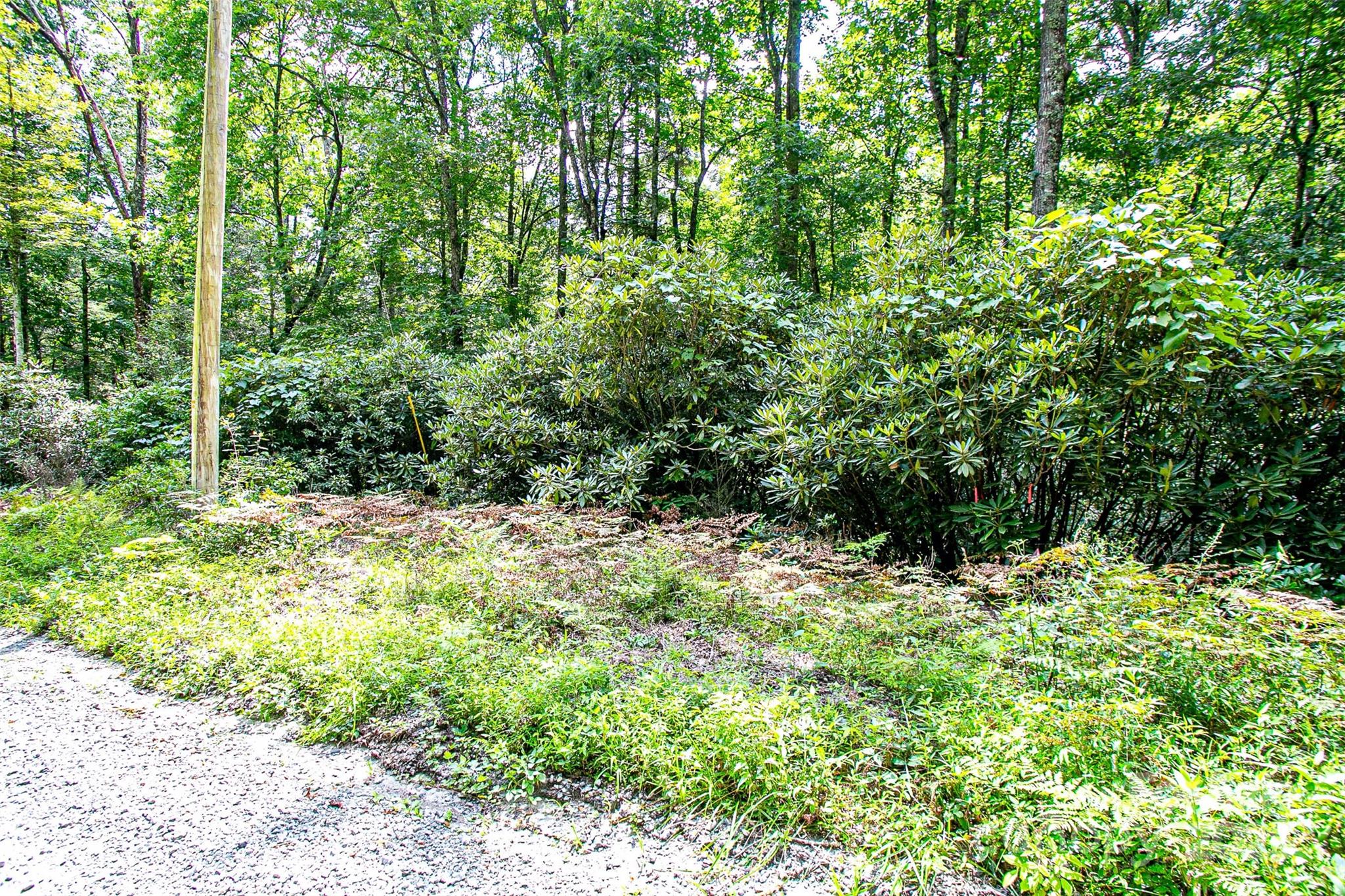 0 Happy Acres Road Brevard, NC 28712 - Photo 9 of 23 a view of a yard with plants and large trees