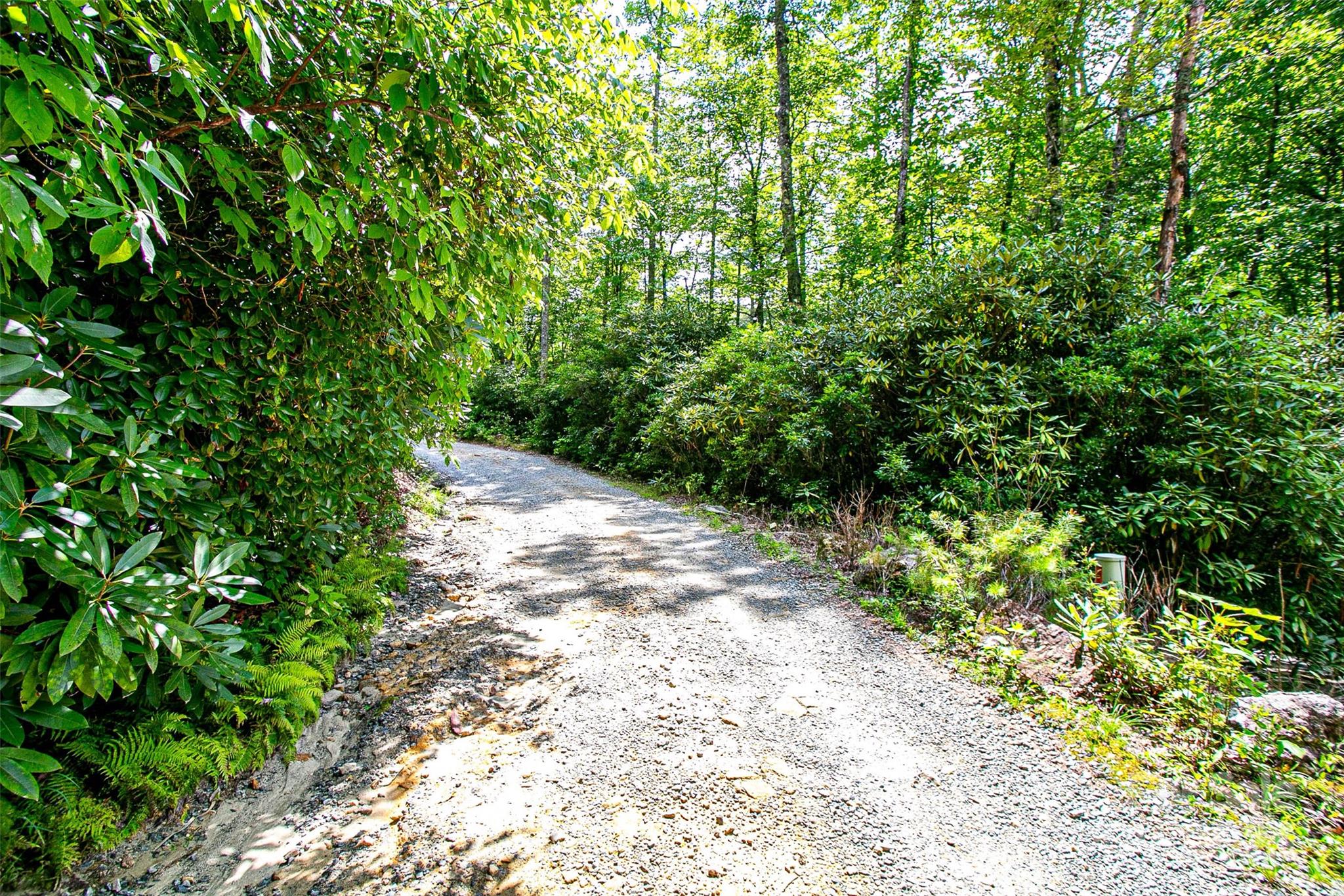 0 Happy Acres Road Brevard, NC 28712 - Photo 10 of 23 a view of a pathway both side of yard