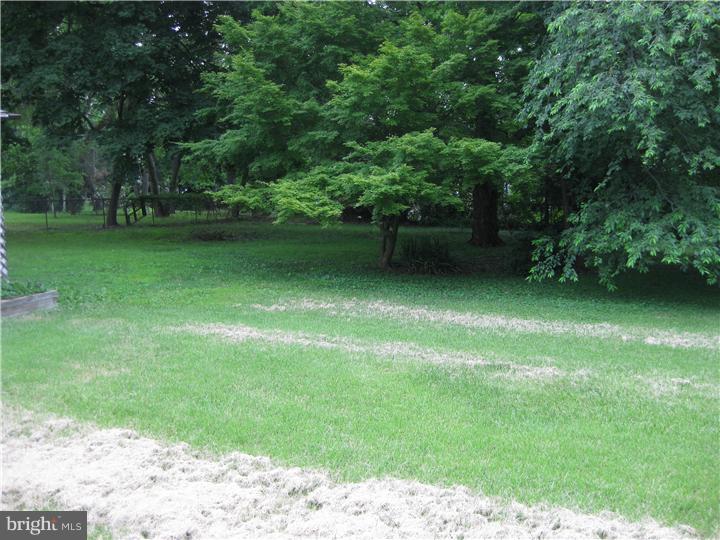 3845 Davisville Road Hatboro, PA 19040 - Photo 8 of 16 Back Yard