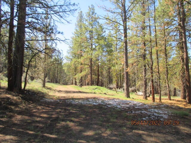 Lot 2 Partin Drive Beatty, OR 97621 - Photo 2 of 11 IMG_0002
