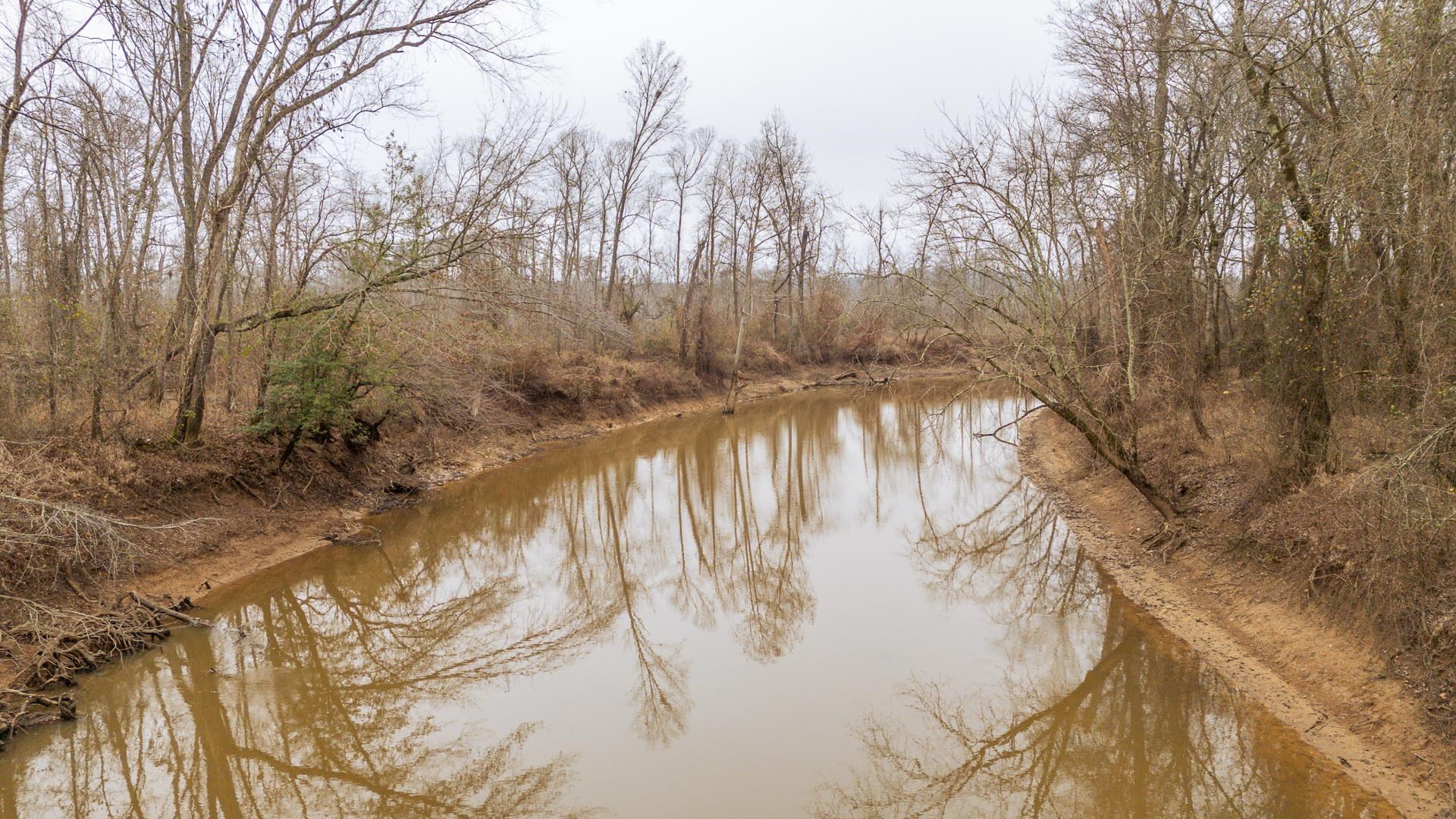 10970 Peavine Road Pocahontas, TN 38061 - Photo 25 of 26