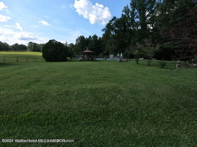 552 Bird Farm Road Jasper, AL 35503 - Photo 6 of 27 JS9