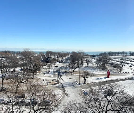 $5,500 | 2800 North Lake Shore Drive, Unit 801, Chicago, IL 60657